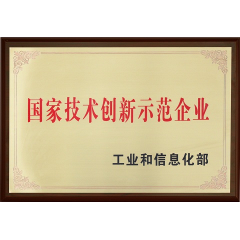 國家技術創(chuàng)新示范企業(yè)